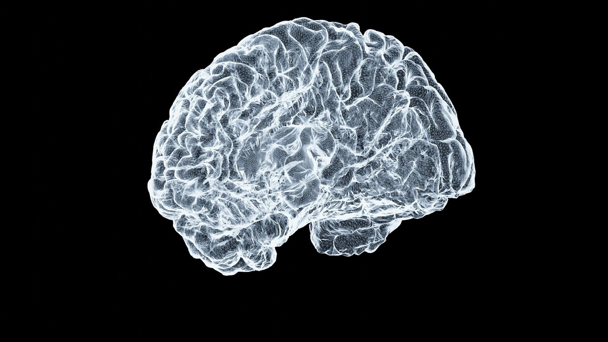A glowing anatomical brain